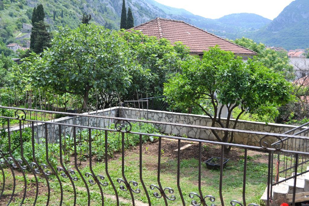 Apartments Villa Marta - Begovic Cattaro Esterno foto